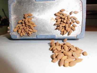 鉄コーティングしてあるので磁石に着きます