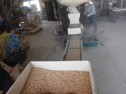 ちょっと埃が・・・