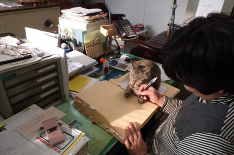 ミーちゃん、お仕事中！